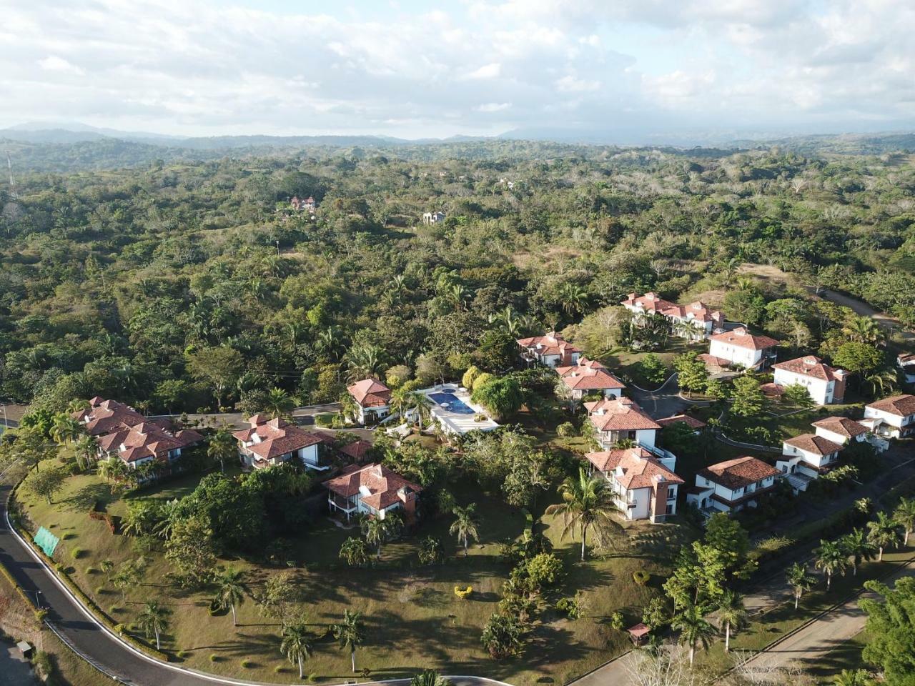 Palm Coast Luxury Rentals إستريلوس إيسته المظهر الخارجي الصورة