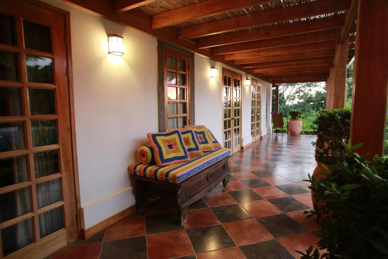 Palm Coast Luxury Rentals إستريلوس إيسته المظهر الخارجي الصورة