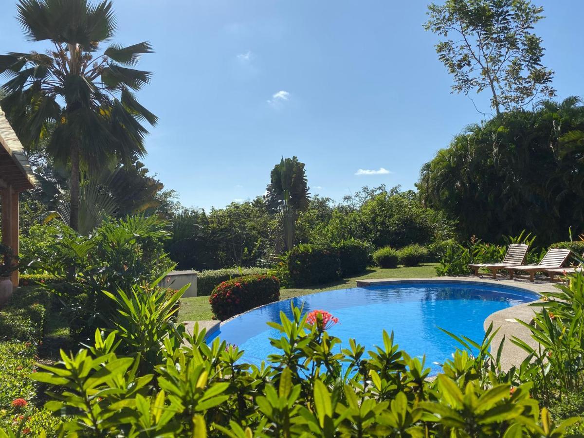 Palm Coast Luxury Rentals إستريلوس إيسته المظهر الخارجي الصورة